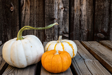 Close up of three small fall gourds on a rustic plank table