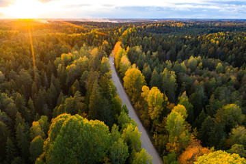 Latvian autumn nature. Forest and road. View from the top.