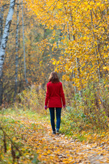 Woman walks alone in autumn forest. Rear view