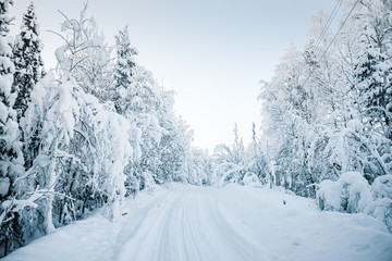 Beautiful fabulous winter landscape: the road going through the forest, everything is covered with snow.