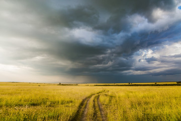 Storm clouds over Masai Mara Reserve