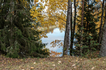 beautiful natural lake or river in autumn
