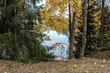 beautiful natural lake or river in autumn