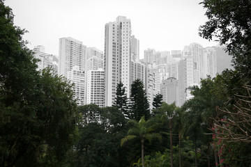 Apartment buildings on Hong Kong Island, Hong Kong, SAR of China