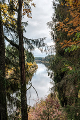 beautiful natural lake or river in autumn