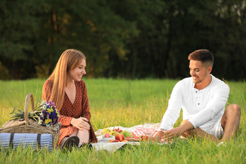 Naklejka na ściany i meble Young man and his girlfriend having picnic in park