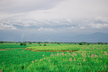 beautiful landscape on a journey towards new adventures