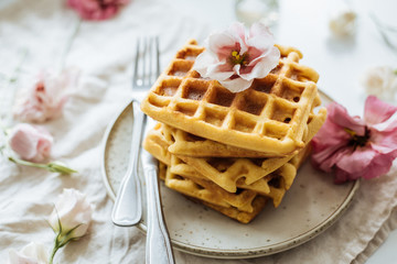 On a bright background among the flower buds in a plate are hot Belgian waffles.