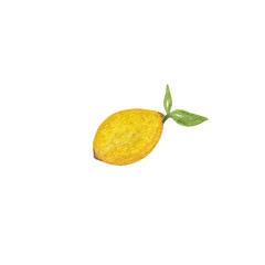 watercolor lemon with green leaves isolated on white background