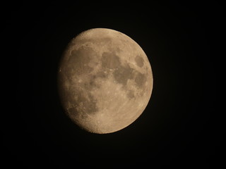 Moon in the Night