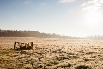 Fototapeta na wymiar SURREY, UK A view across a frosty field near Leith Hill.