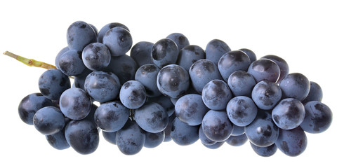 Ripe bunch of blue grapes isolated