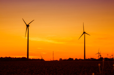 Obraz premium Sunset over sunflower fields with wind turbines. Near road in Dobrich Region, Bulgaria.