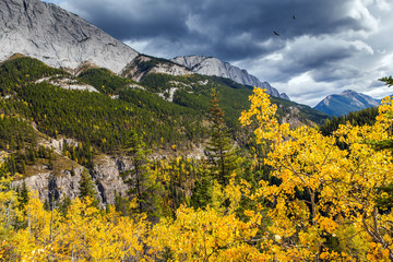 The magic colors of northern autumn