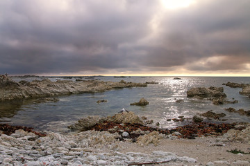 Fototapeta na wymiar Kaikoura Peninsula coast, South Island, New Zealand
