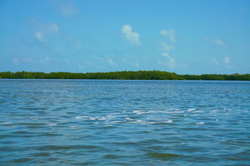Río Lagartos, Yucatán