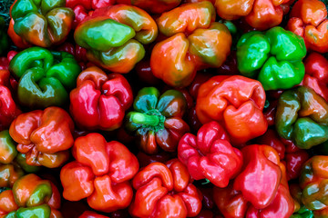 Organic ripe peppers in different colors are shown as background in a pattern of fresh ingredients for a healthy meal