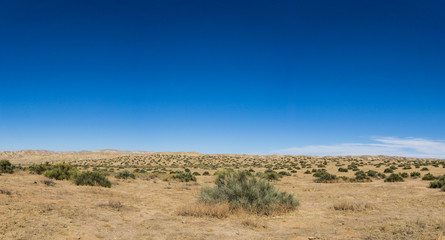 Panoramic View of Carrizo Plain National Monument