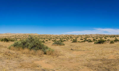 Wide Empty Wilderness in California