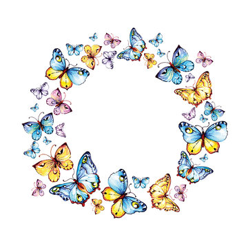 blue butterflies circle