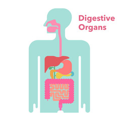 黒背景に各部位の名称が記載された消化器官のかわいくてシンプルなイラスト Wall Mural Moana Akasso