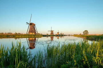 Fotobehang dutch windmill in kinderdijk, holland © Jeroen Bukman
