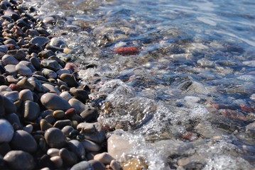 sea stones, sea, bunch,