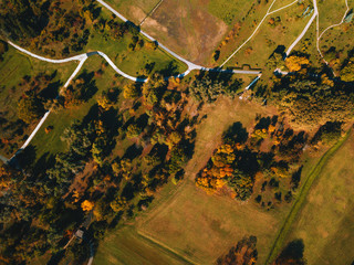 Fototapeta premium View from above of an autumn field. Drone photo