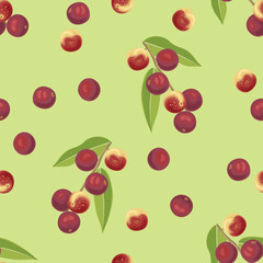 Seamless pattern with Camu camu berry on green background. Vector illustration of branch with red healthy berries Myrciaria dubia and green leaves. Super food  in cartoon simple flat style. 
