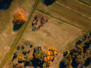 Warm autumn fall landscape with copyspace. Photo made with a drone.