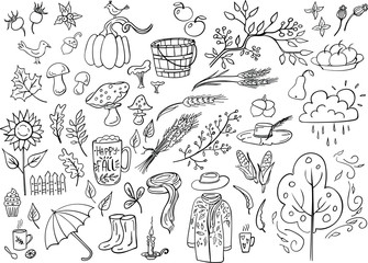 Set of doodle autumn elemetns isolated on white. Pupkin, hat, sunflower, cup,tree, mushrooms, poultry, apples, wheat. Vector illustration. Perfect for coloring book, greeting card, print.