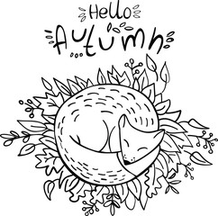 Cute fox asleep on autumn leaves on while background. Hello Autumn. Vector illustration. Perfect for coloring book, postcard, greeting card, print.