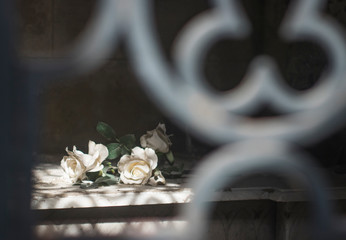 white roses in church bokeh