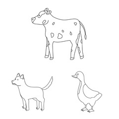 Isolated object of homemade and countryside sign. Collection of homemade and agriculture vector icon for stock.