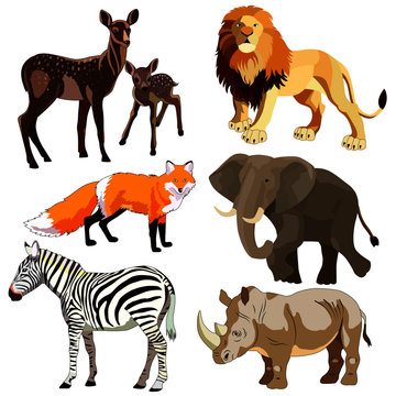 set of drawings, wild animals, vector images