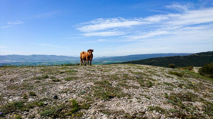 Vistas desde Armikelo