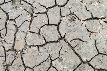 Dry mud background texture. Global Drought Warming