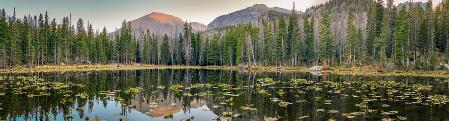 Reflections on Nymph Lake in Rocky Mountain National Park