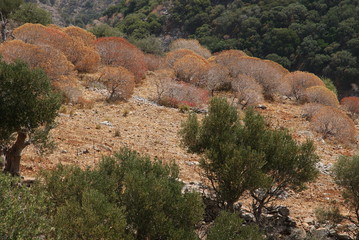 natural views of Crete with sea and blue sky