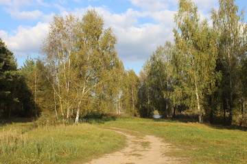 autumn in the park