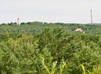 Fototapeta na wymiar Bäume und Leuchtturm auf Hügel