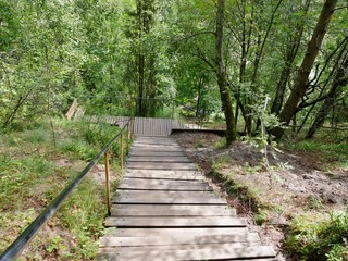 Holzpfad durch Wald in Litauen