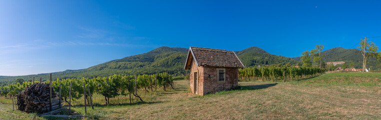 Fototapeta na wymiar Mount St. Odile, France - 09 20 2019: On the road in the Wine route. Panoramic view of vineyards and a stone house