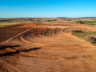 Aerial view of a cassava plantation in sprouts planted in contours on a hill