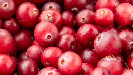 A lot of cranberries / Top view of ripe cranberry / food background