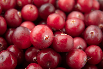 Cranberry / Juicy fresh cranberries / Red cranberries / Pattern of cranberries