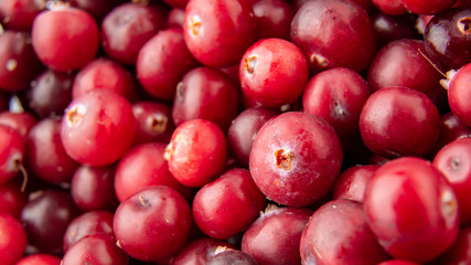 Cranberries / Natural red wallpaper of berry cranberry close-up / The set of vitamins in cranberries.