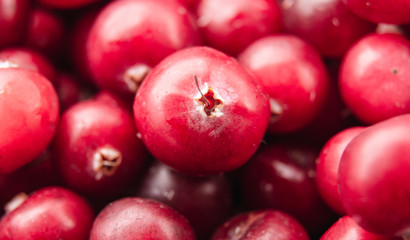 Cranberries close up / rip and fresh berries / Top view / wallpaper design