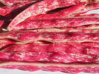 crimson beans legumes vegetables food