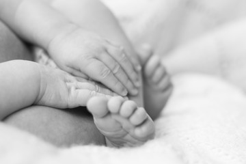 Newborn baby lies on a plaid. The feet of a newborn baby.